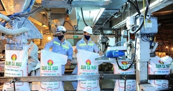 Đạm Phú Mỹ (DPM) báo lãi bứt phá quý 2/2025, vượt xa kế hoạch lợi nhuận cả năm
