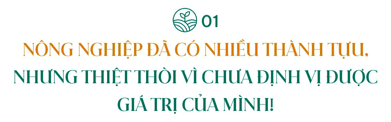 mini-tt-web-01.jpg