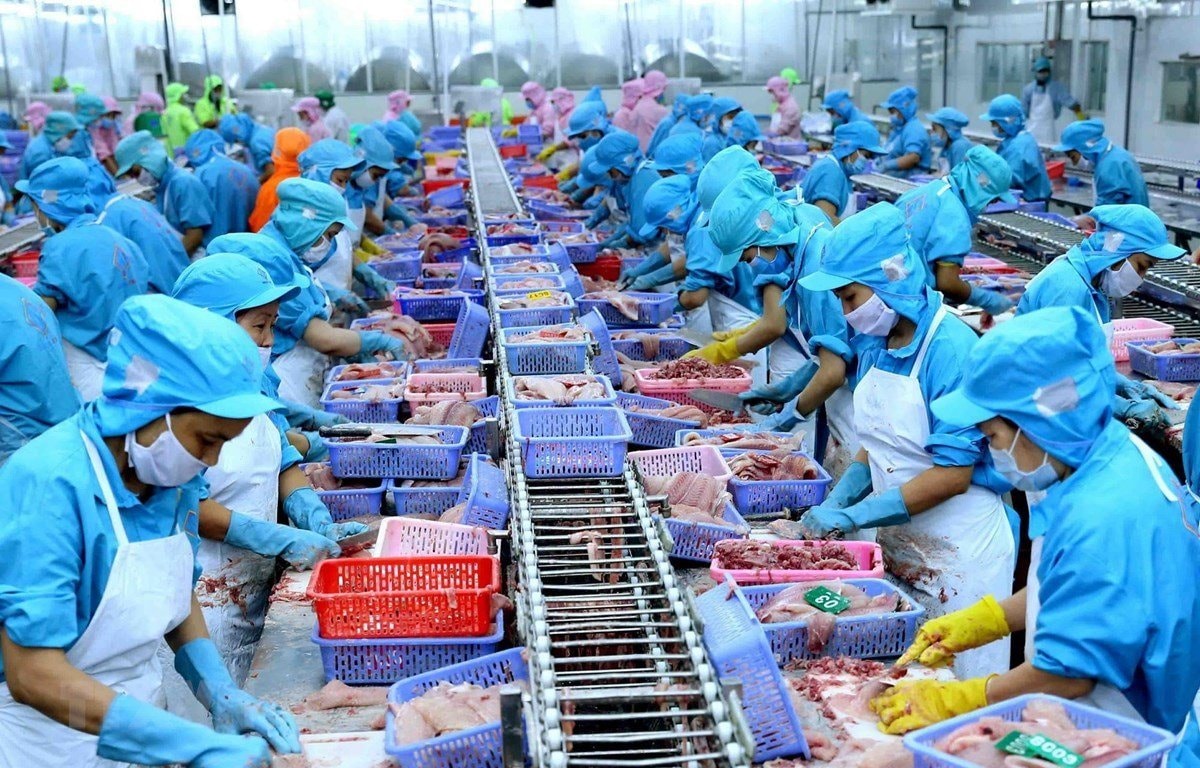 Ngành thủy sản Việt Nam đang "để trống sân nhà”