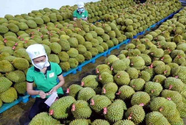 sau-rieng-moi-.jpg