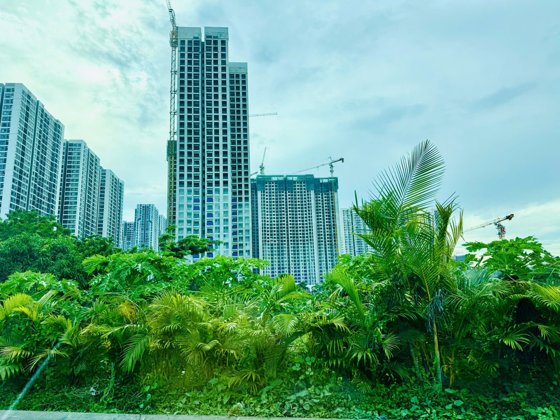 Giới trẻ “ngại cưới, lười sinh” do giá nhà tăng quá cao