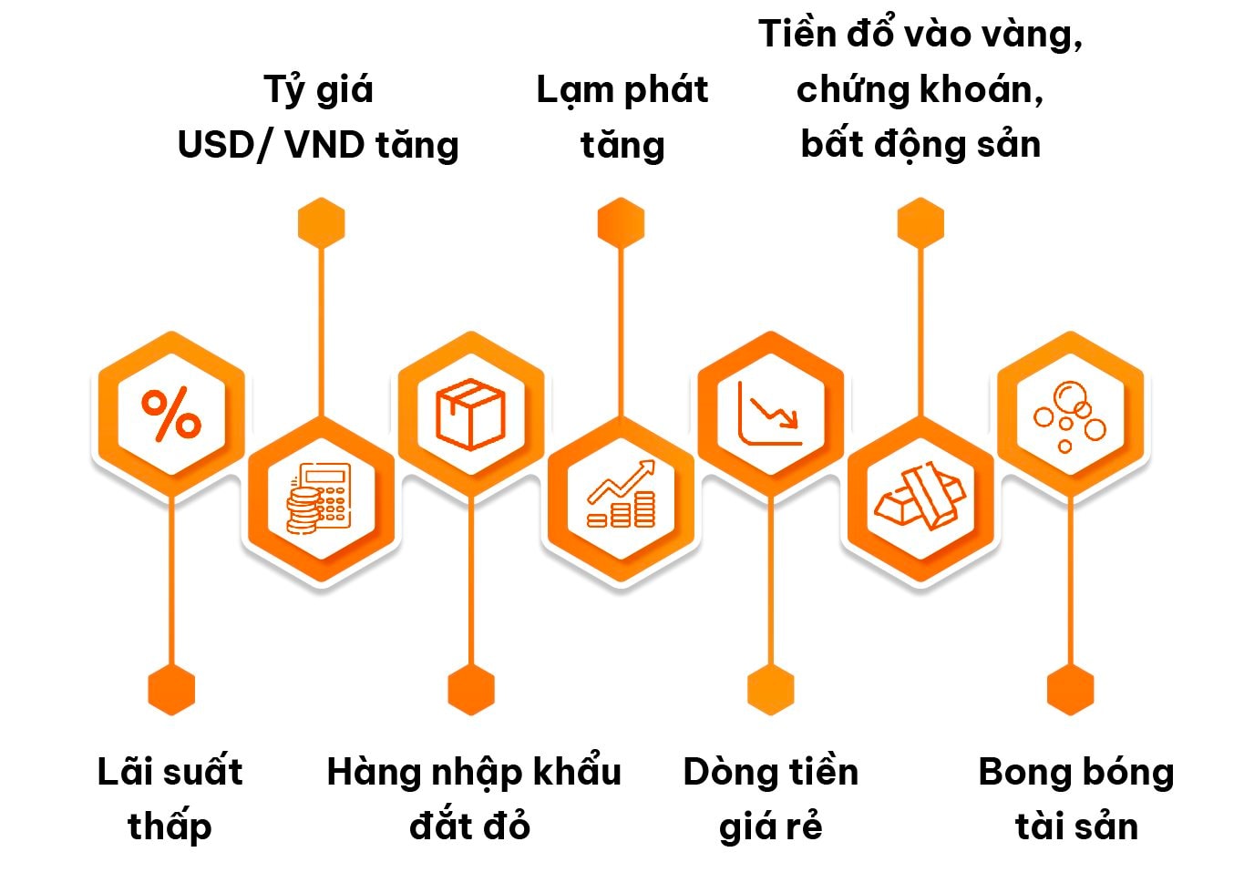 nth-web-07.jpg