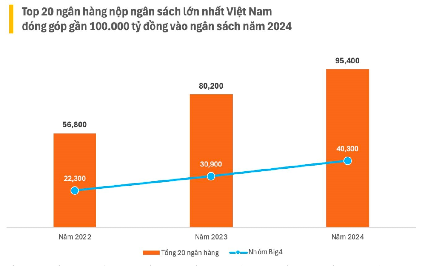 nth-web-10.jpg