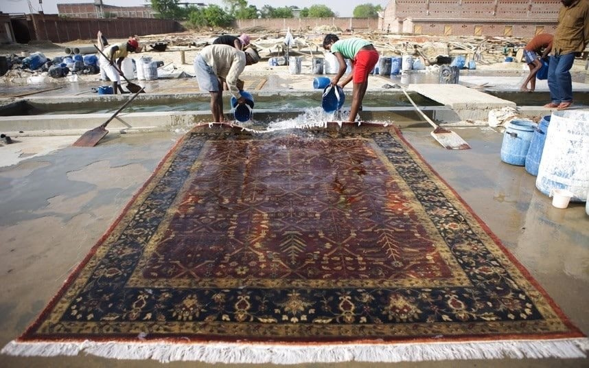 carpet.jpg