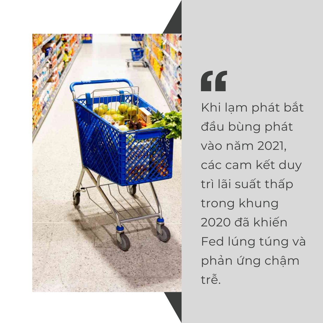 fed2.png