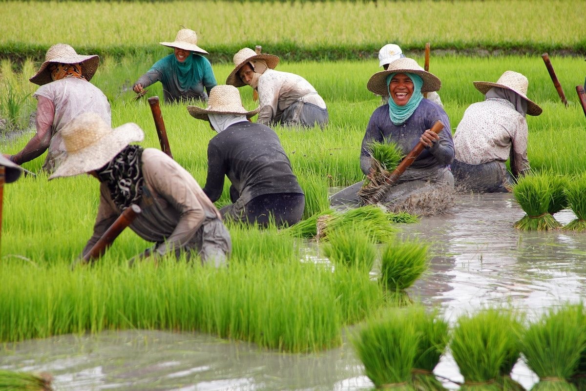 Nước ĐNÁ nhập khẩu gạo nhiều nhất thế giới mua 75% sản phẩm từ Việt Nam