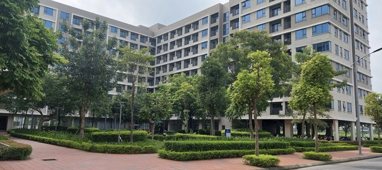 Nguồn cung nhà ở xã hội tăng mạnh, đòn bẩy tài chính chủ đầu tư cải thiện