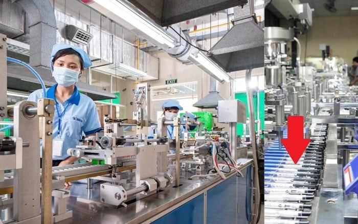 Bán sản phẩm chỉ bằng cốc trà đá khiến 74 quốc gia đặt mua, DN Việt lại “chơi lớn” ở “xứ sở nghìn đảo” 