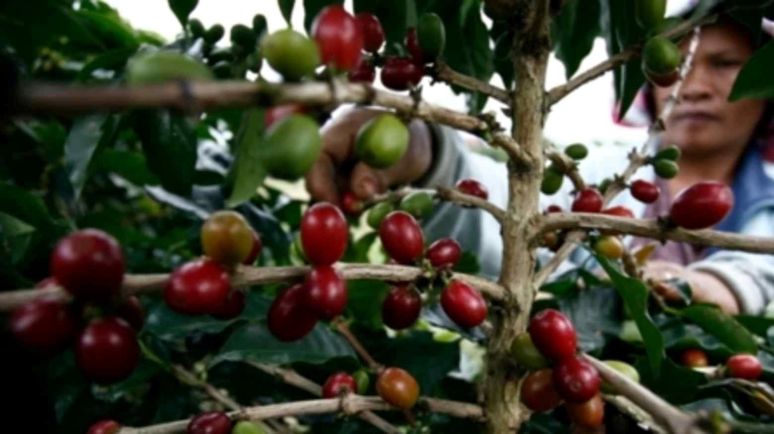 Chịu mức thuế 40% của Mỹ, nước láng giềng Việt Nam tính chuyển hướng xuất khẩu mặt hàng ‘hái ra tiền’ sang Nga