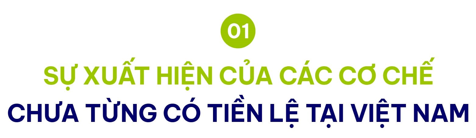 dl-quote-05.jpg