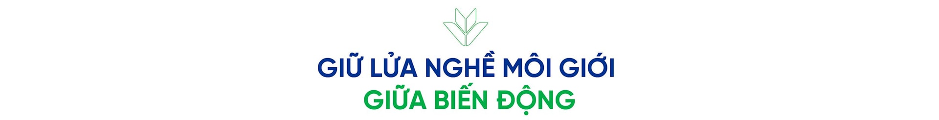 inv7-web-06.jpg