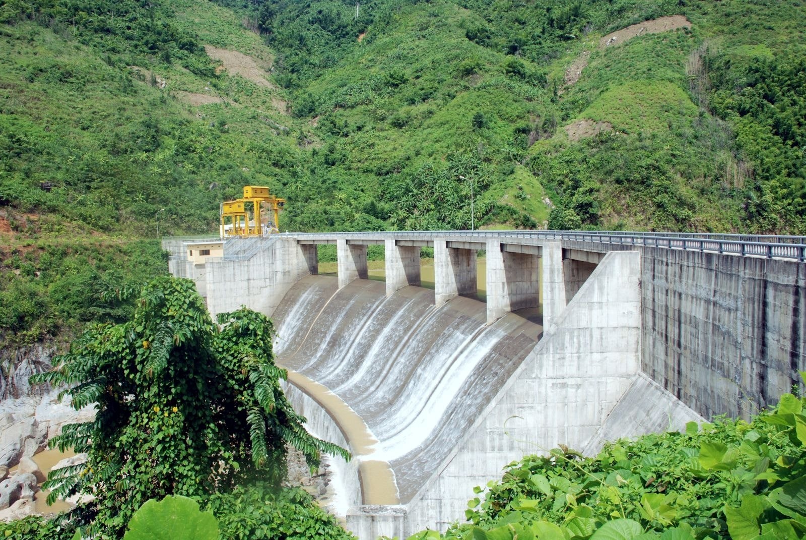 zahung.jpg