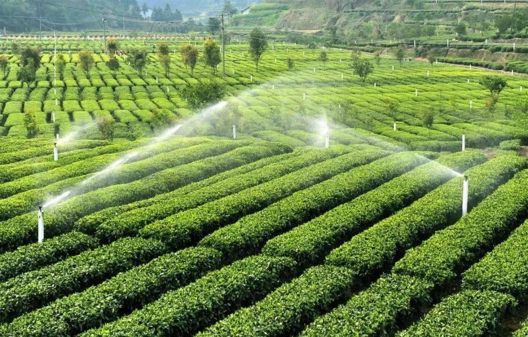 Thêm trường hợp mới sẽ được bồi thường khi Nhà nước thu hồi đất, người dân lưu ý!