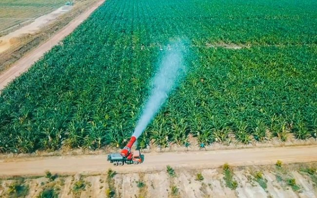 Thaco Agri của tỷ phú Trần Bá Dương có tổng tài sản tăng vọt lên hơn 67.000 tỷ đồng, vượt Becamex, gấp 3 lần HAGL