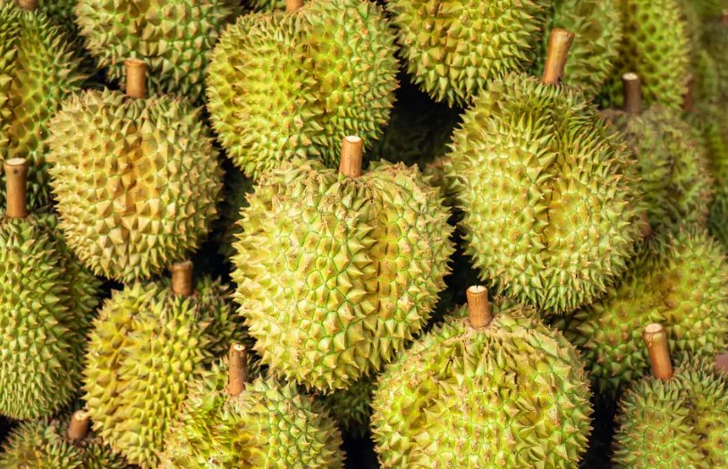 Quyết lấy lại thị phần tại Trung Quốc, một ông lớn Thái Lan chuẩn bị ra mắt xôi sầu riêng ăn liền, sẽ mở rộng sang cả thị trường châu Âu