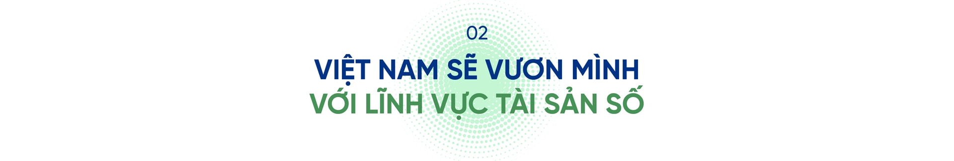inv8-web-05.jpg