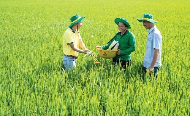 pvcfc-nang-tam-gia-tri-thuong-hi.jpg