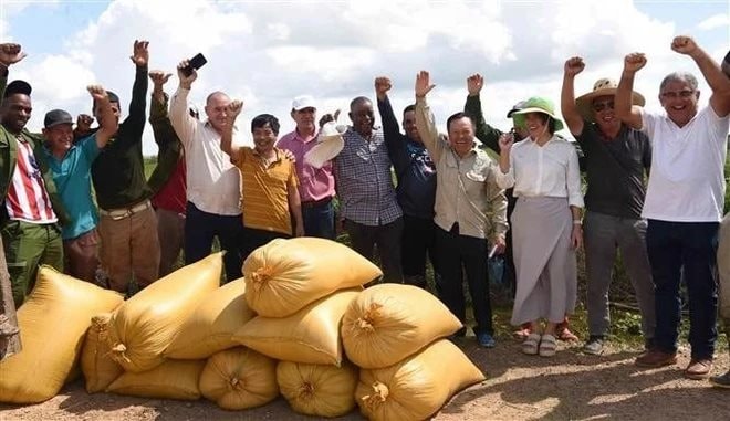 Cuba muốn học hỏi một kỹ thuật của Việt Nam trong lĩnh vực nuôi sống một nửa nhân loại: Kỳ tích