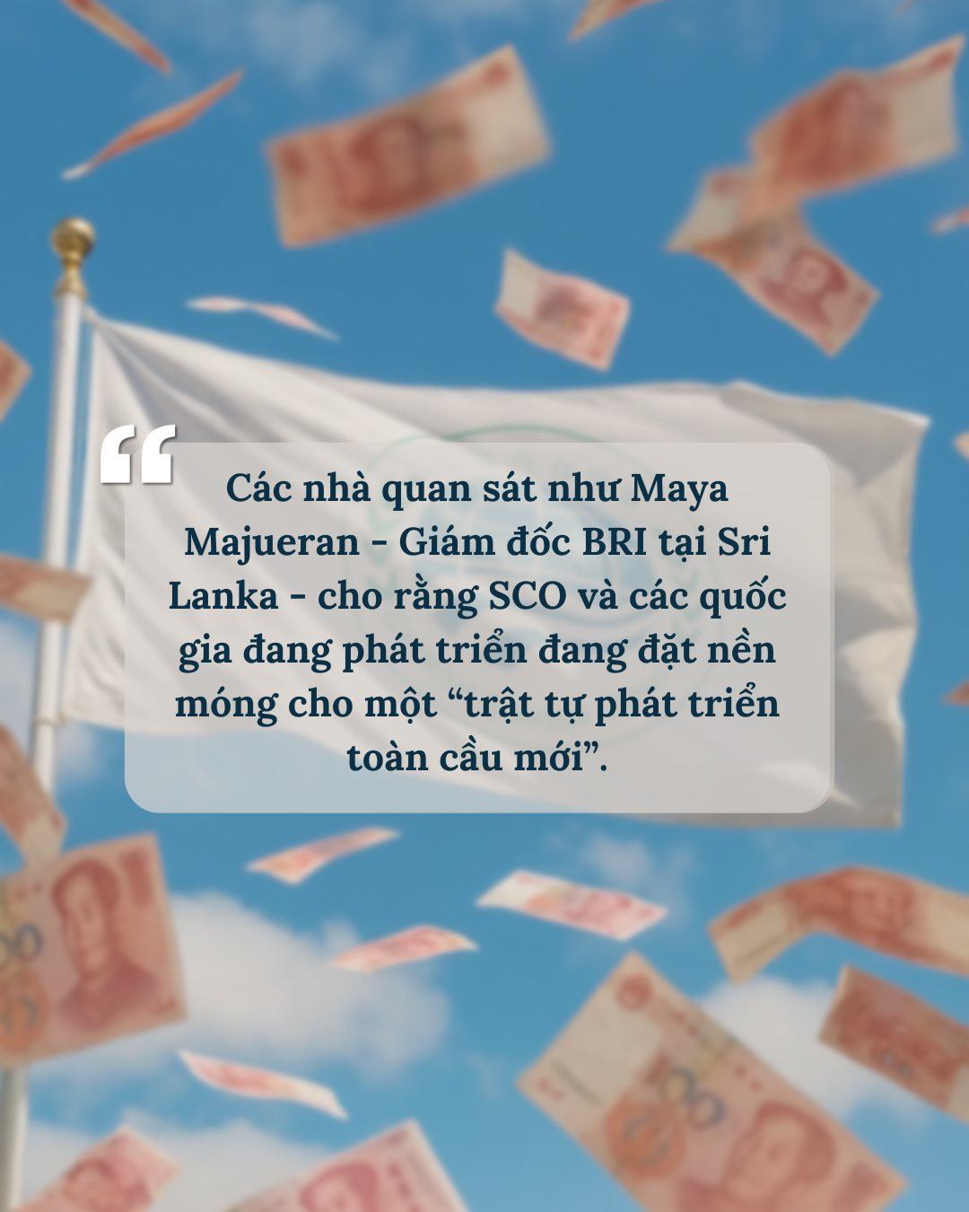 sco6-1-.png