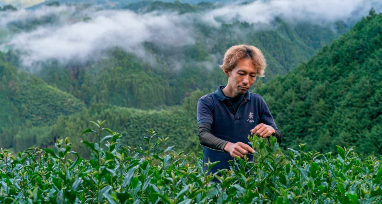 Nhật Bản đang sở hữu loại bột được ví như 'vàng xanh', cả thế giới đổ xô tới đây săn lùng, cung không đủ cầu