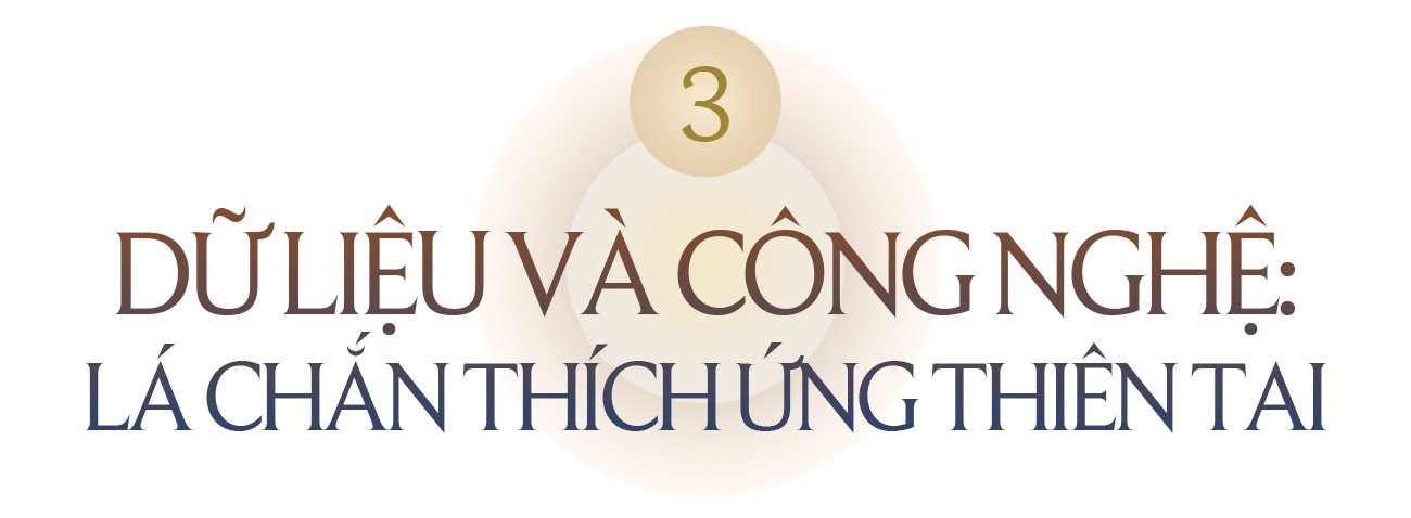 t3.png