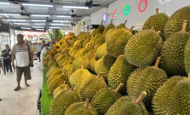 Một đối thủ sầu riêng của Thái Lan, Việt Nam rục rịch gia nhập thị trường Trung Quốc, chuyên gia khẳng định: Cần ít nhất 2 năm nữa để làm điều này