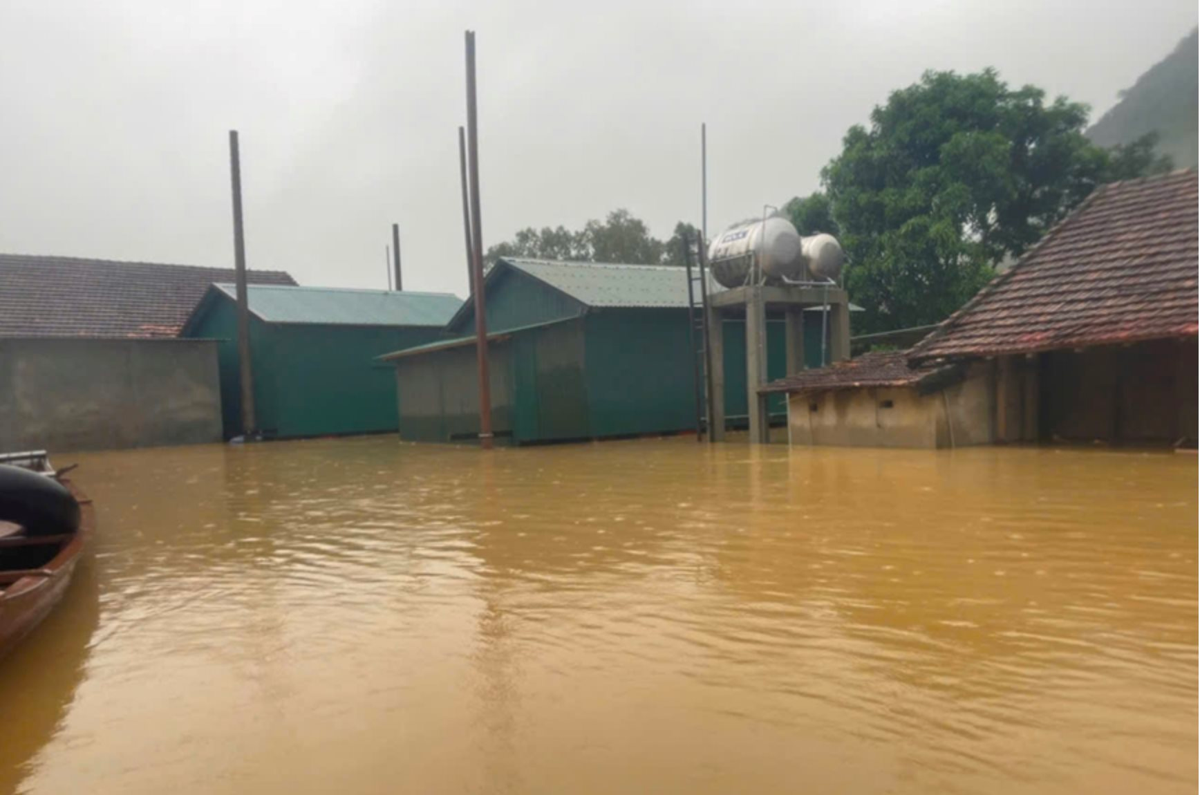 UNDP: Việt Nam nằm trong nhóm quốc gia thu nhập trung bình thấp 