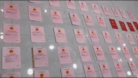 3956723375648804152-2785.gif