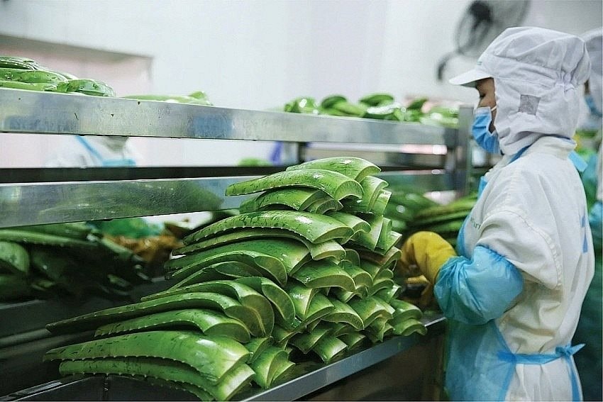 "Vua nha đam" lập kỷ lục lợi nhuận, hoàn thành 88% kế hoạch năm