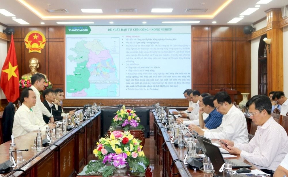 Chủ tịch tỉnh Gia Lai giao nhiệm vụ THACO nghiên cứu phát triển kinh tế khu vực Cửa khẩu Quốc tế Lệ Thanh, đẩy mạnh xuất khẩu sang Campuchia 