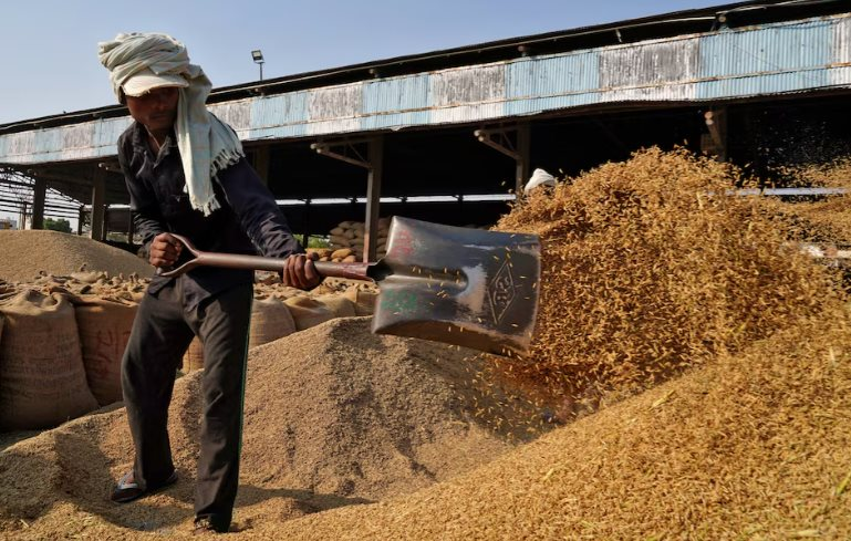 Giá gạo sắp thêm áp lực: Vựa lúa của thế giới vừa thu hoạch kỷ lục 146 triệu tấn, nhắm đến 26 thị trường tiềm năng bao gồm cả Việt Nam