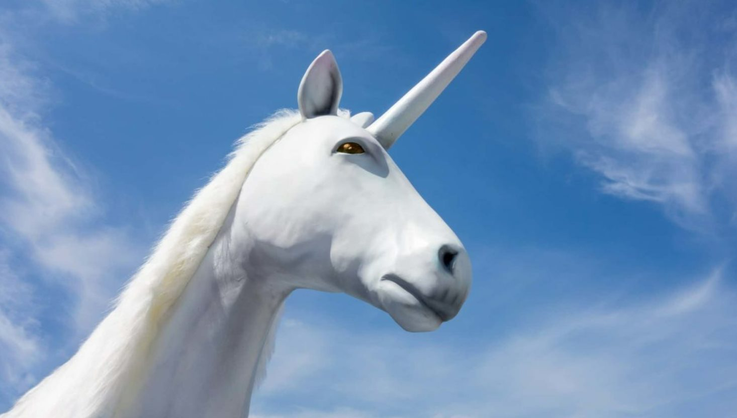 Công ty BĐS Việt Nam 6 năm tuổi muốn IPO, niêm yết sàn Mỹ: Chia nhỏ 50 lần mệnh giá cổ phiếu chỉ còn 200 đồng, gần 50% tổng tài sản bị Kiểm toán nêu ý kiến ngoại trừ