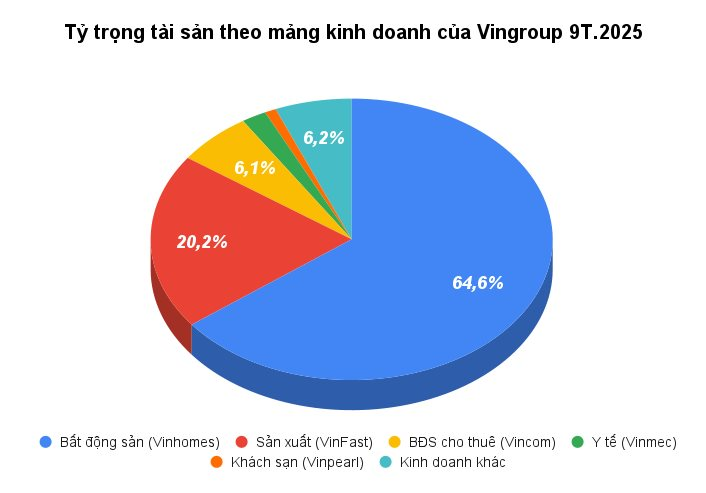 ty-trong-tai-san-theo-mang-kinh-doanh-cua-vingroup-9t.2025.png