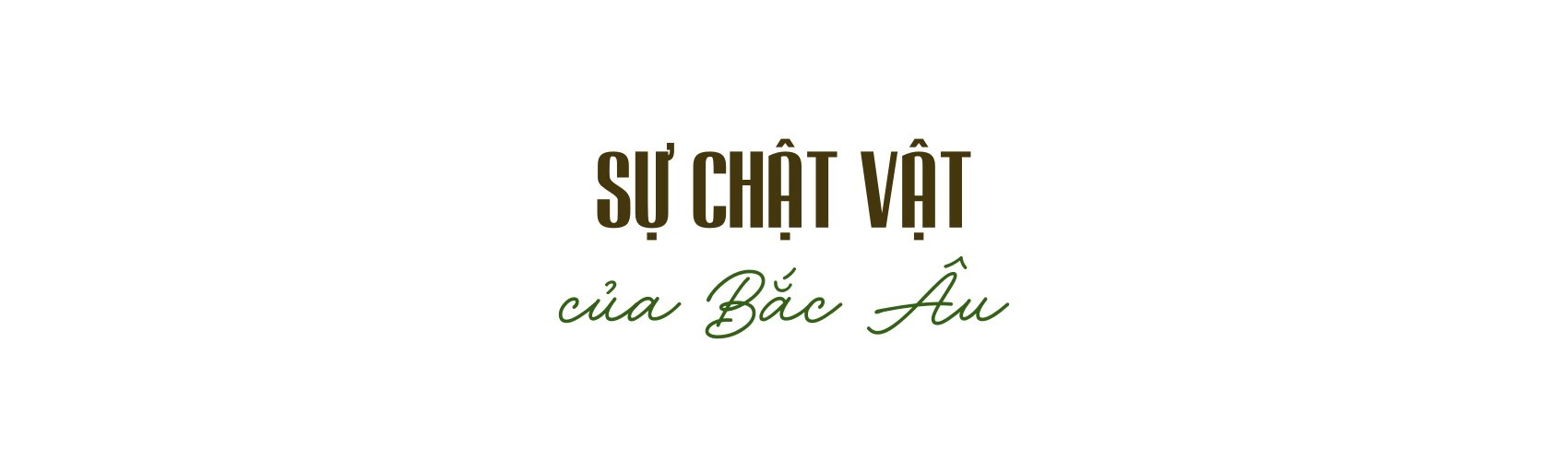 chauau3.png