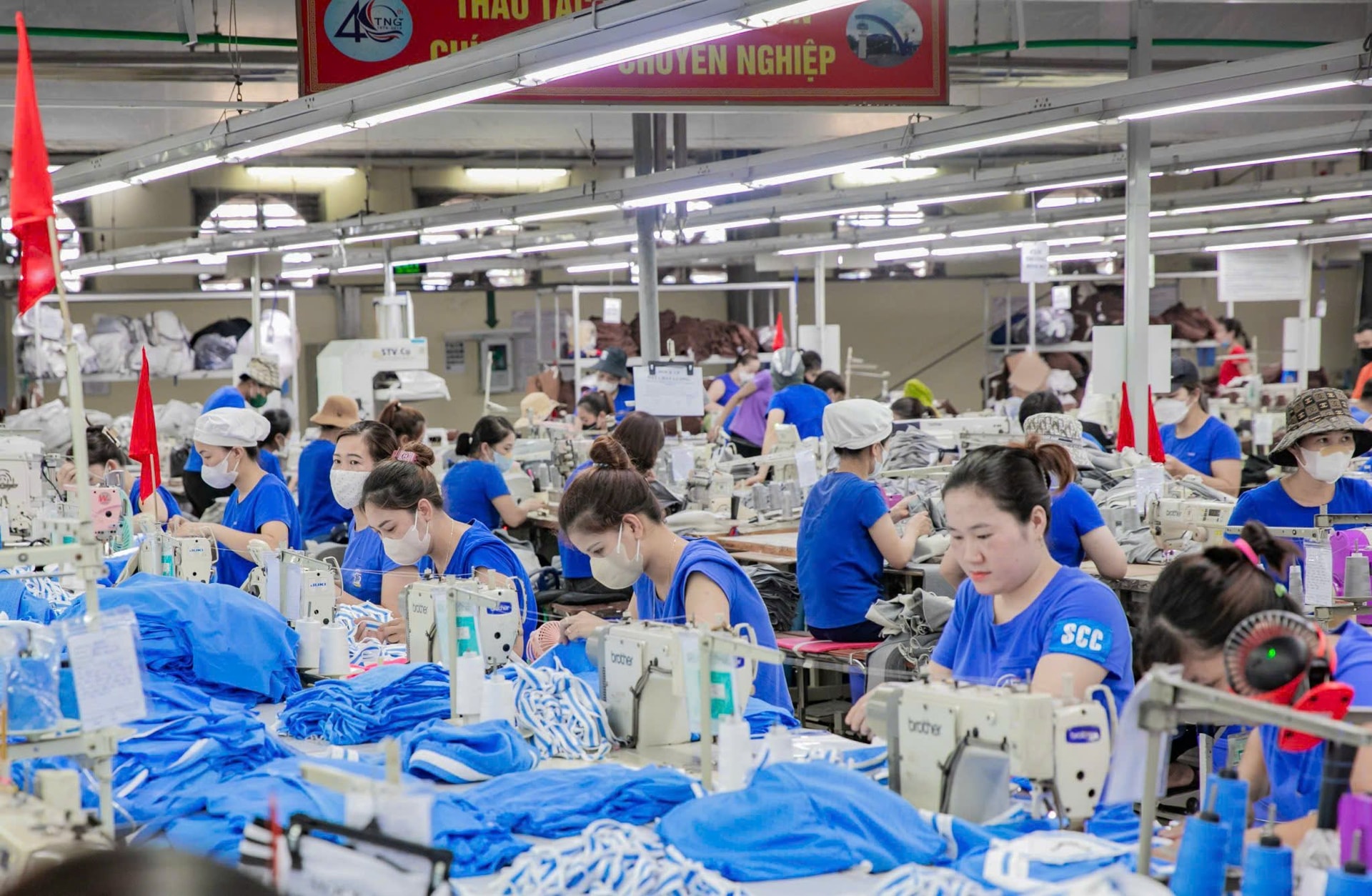 TNG được gia hạn doanh nghiệp ưu tiên, trả cổ tức tiền mặt đợt 2/2025