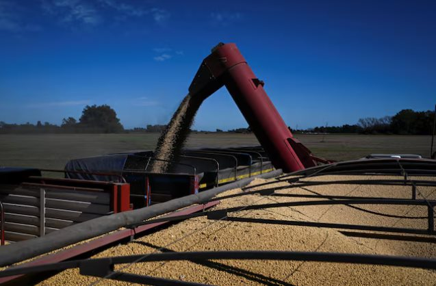 Trung Quốc tạm dừng mức thuế 24%, đậu tương của Mỹ vẫn đánh mất lợi thế vào tay một ông trùm nông sản: Là nhà cung cấp lớn nhất của Việt Nam nhiều năm qua