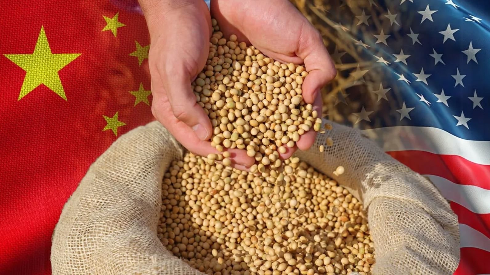 Trung Quốc dỡ bỏ một phần thuế trả đũa đối với nông sản Mỹ, nhưng vẫn giữ thuế 13% với đậu tương