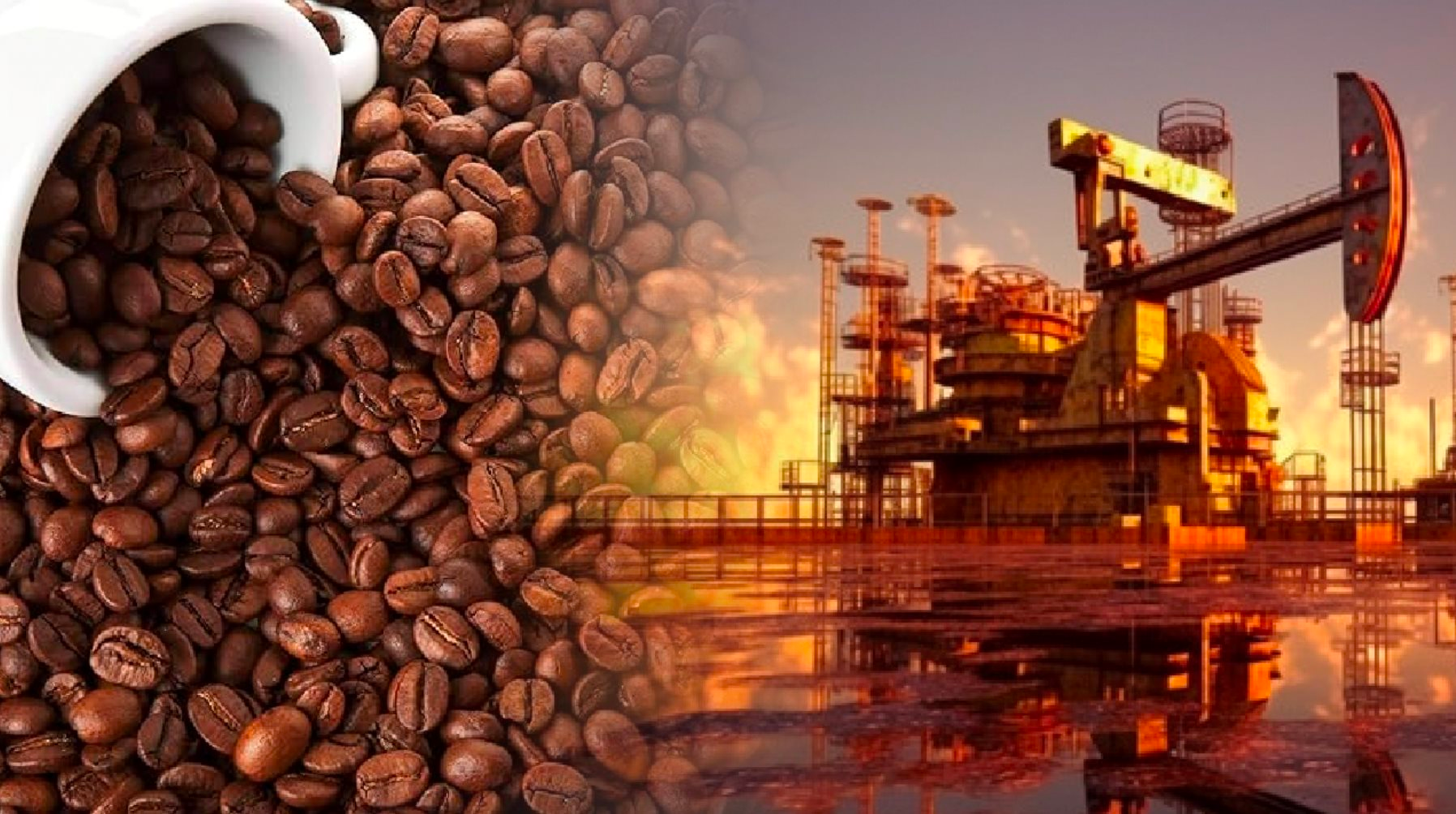 Giá cà phê tăng mạnh, MXV-Index nhích nhẹ 0,2%, lên 2.340 điểm