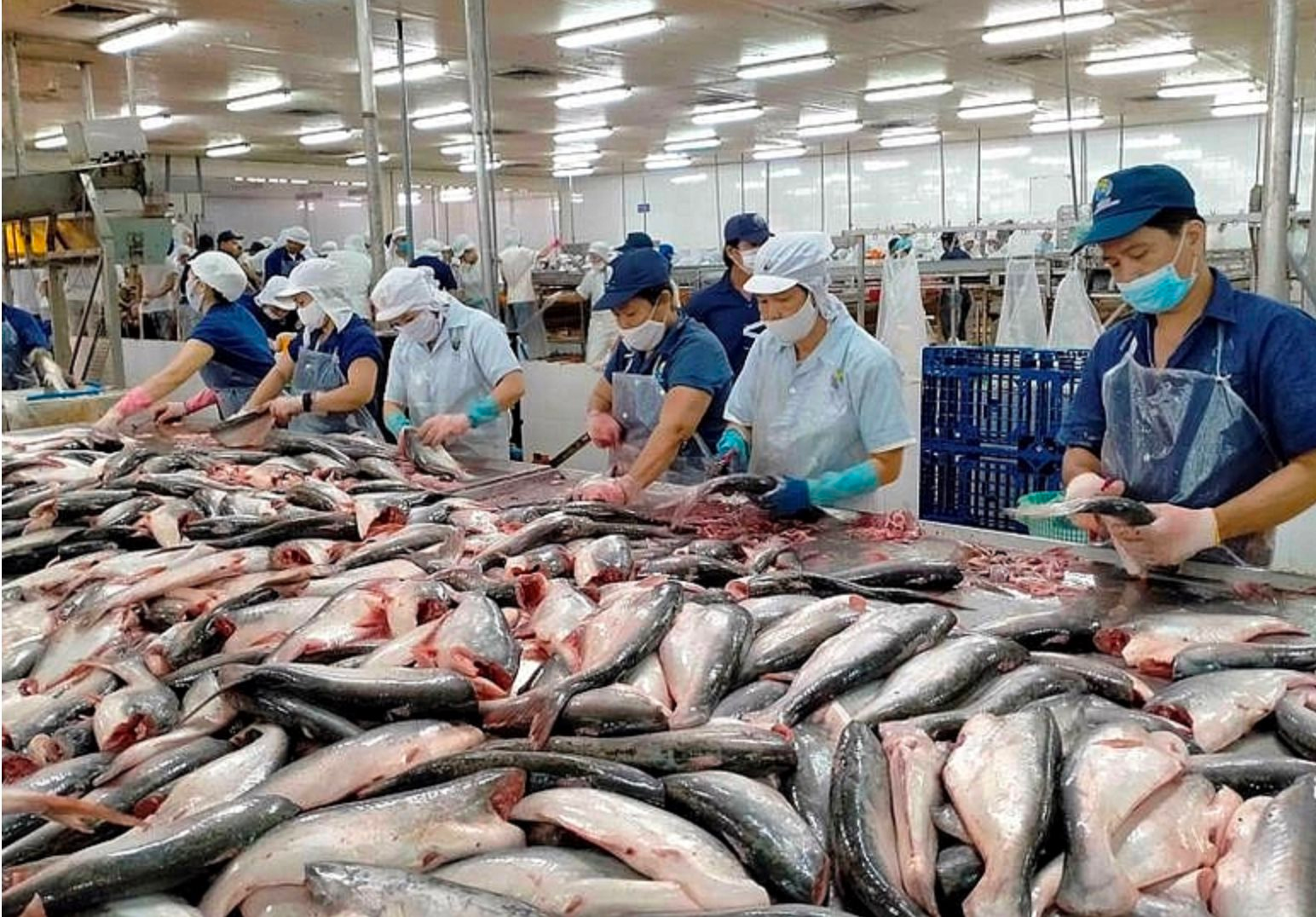 Kinh tế Việt Nam 9 tháng đầu năm 2025: Tăng trưởng dẫn đầu khu vực nhưng tiềm ẩn nhiều bất định từ các yếu tố bên ngoài và thách thức nội tại