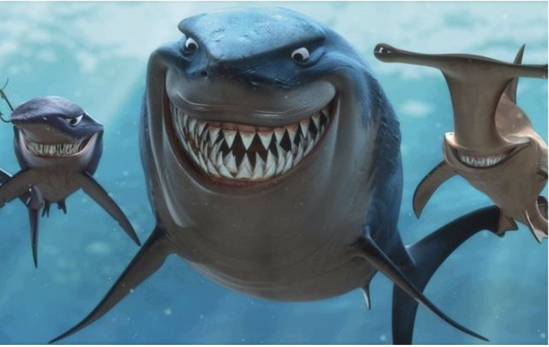 SGI Capital: Margin cao, áp lực tỷ giá và nền định giá không rẻ là những rủi ro tiềm ẩn