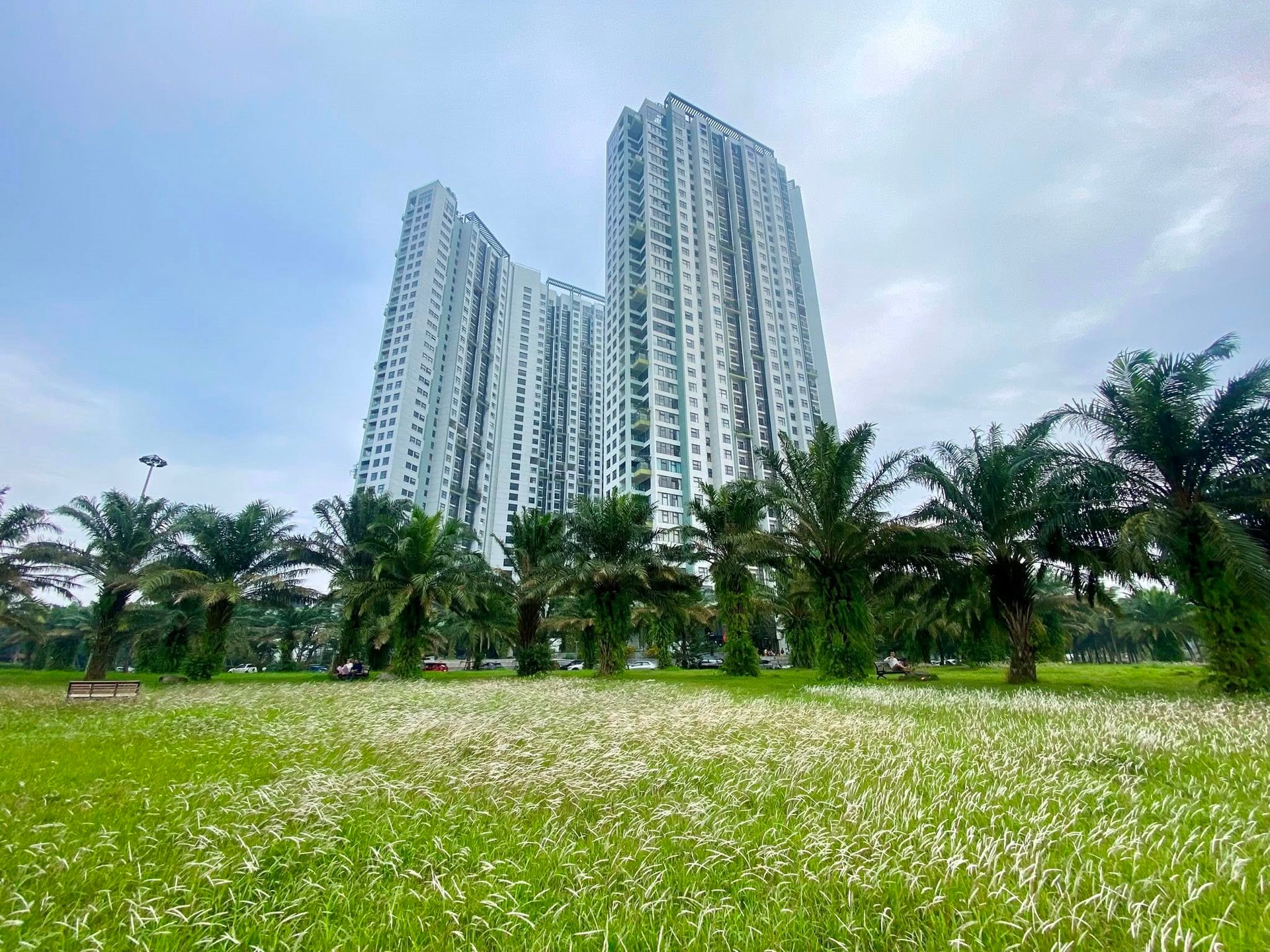 Tại sao  phân khúc cao cấp chiếm chủ đạo thị trường bất động sản?