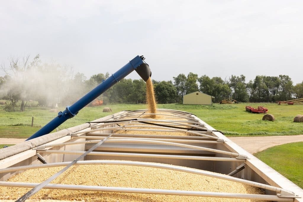 Bộ trưởng Mỹ bị ‘hớ’: Tuyên bố Trung Quốc sẽ mua 12 triệu tấn đậu nành đến cuối năm nhưng kết quả từ Bắc Kinh gây bất ngờ