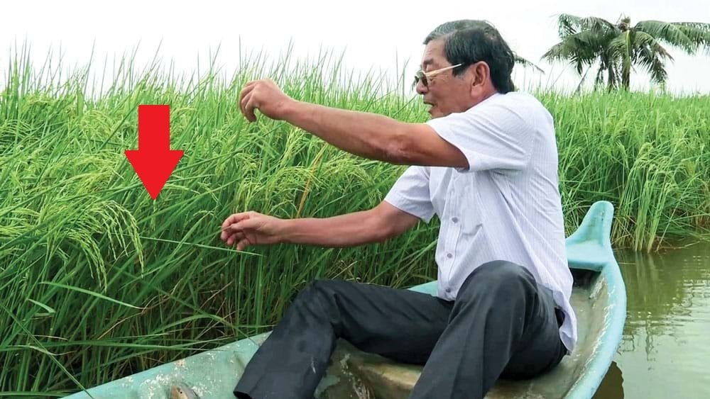 Có 1 thứ kỳ lạ xuất hiện ở nơi tạo ra sản vật Việt Nam ngon nhất TG: "Đây là sự kỳ diệu của thiên nhiên"