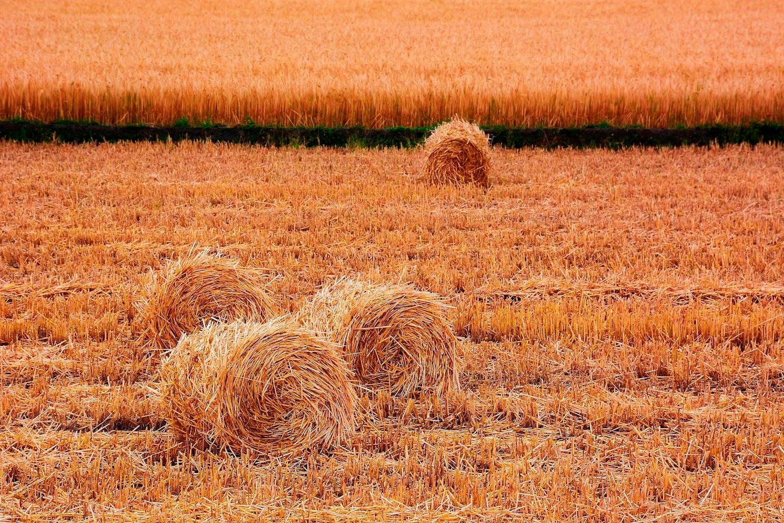 Việt Nam mang tiến bộ kỹ thuật quan trọng, cùng khai mở tiềm năng của "mỏ vàng" kinh tế xanh, sản lượng gần 100 triệu tấn mỗi năm