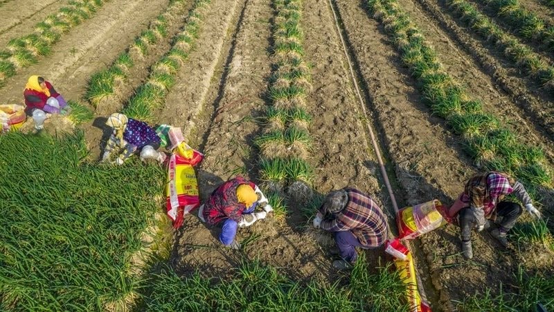 Bị phương Tây mạnh tay áp thuế xe điện, Trung Quốc lập tức tung món ‘võ cổ truyền’ từng trăm trận trăm thắng - bây giờ ai mới đang gặp áp lực?