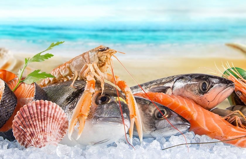 Chuyên gia Agriseco điểm tên 2 cổ phiếu thủy sản có lợi thế vượt trội, dự báo duy trì tăng trưởng cao thời gian tới