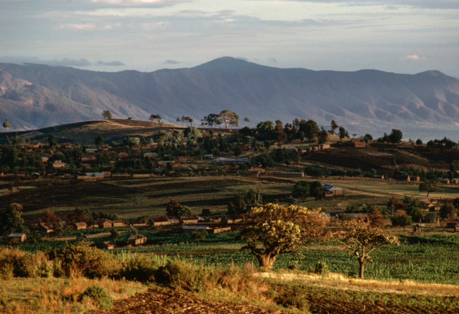 Phát hiện mỏ đất hiếm trữ lượng hơn 214 triệu tấn có giá trị lên đến hơn 900 tỷ USD: Úc tìm thấy nhưng lập tức 'rơi vào tay' Trung Quốc