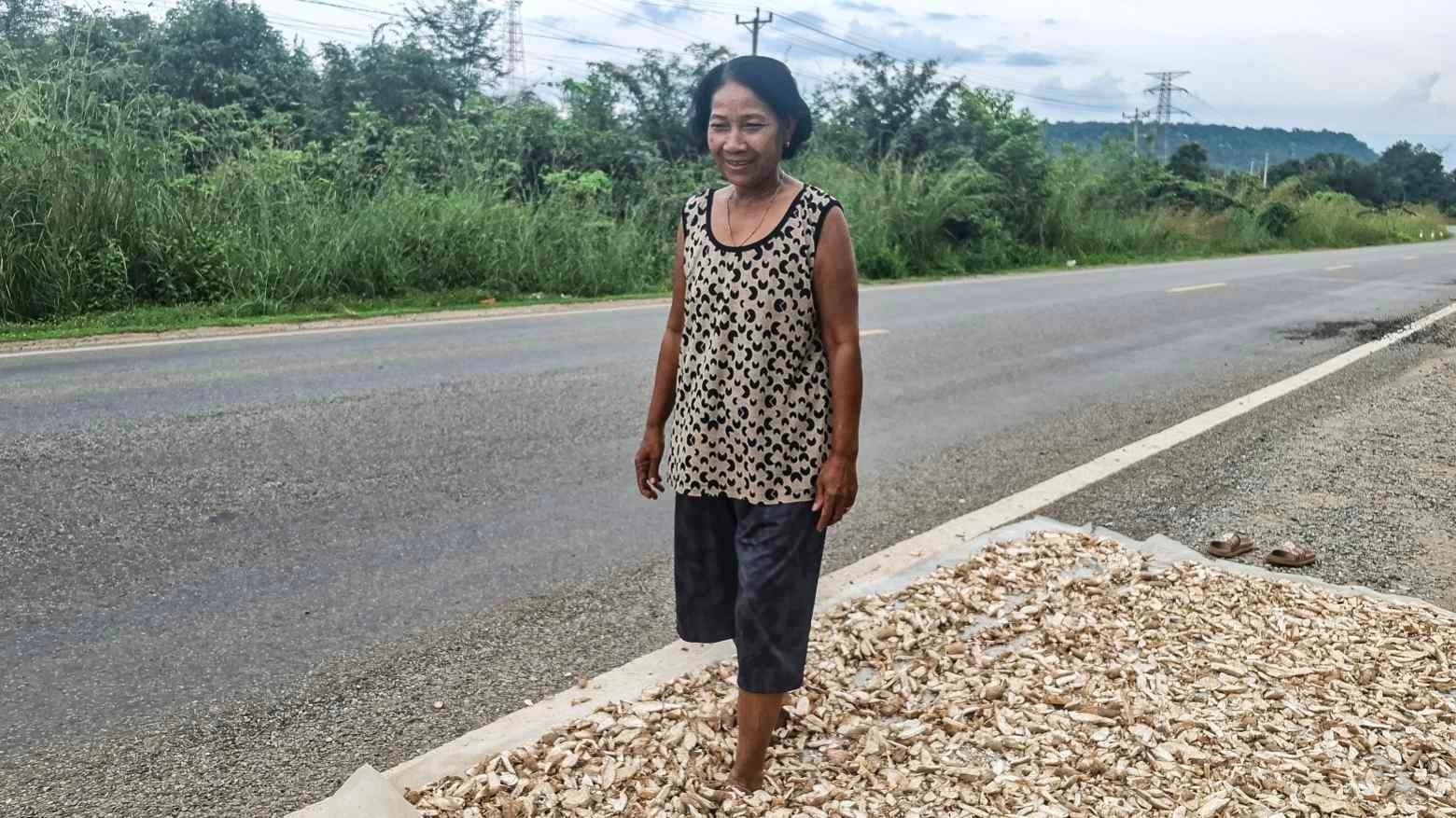 Buồn của nông dân Campuchia: Thái Lan ngừng mua hàng triệu tấn mặt hàng chủ chốt, giá rớt thảm xuống chỉ còn hơn 1.000 đồng/kg, cạnh tranh đã khó càng thêm khó