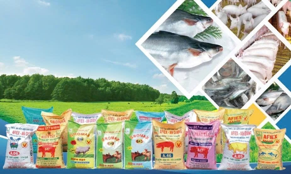 Động thái mới của ông lớn xuất khẩu gạo An Giang 