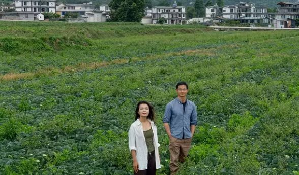 U30 bỏ phố chuyển về vùng núi "dưỡng già", chưa đầy 1 năm đã thảng thốt: “Đó không phải cuộc sống tôi muốn”